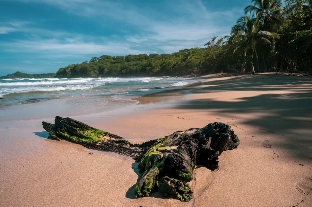 Mejores viajes de luna de miel 2023 costa rica 