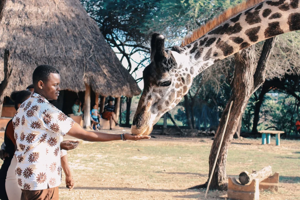 Mejores viajes de luna de miel 2023 Safari kenia