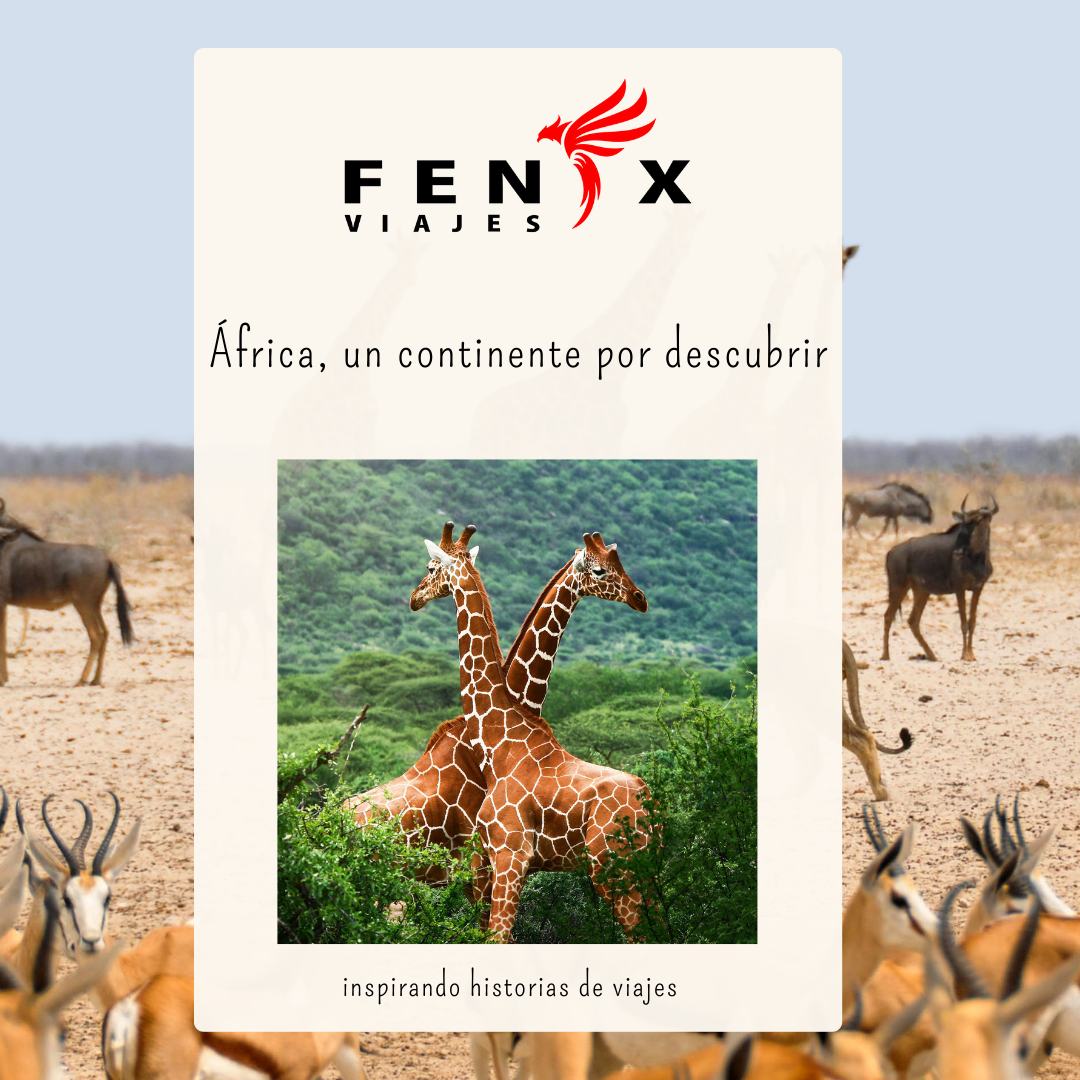 Viajes a África