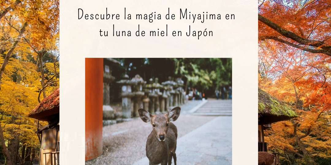 Descubre la magia de Miyajima en tu luna de miel en Japón