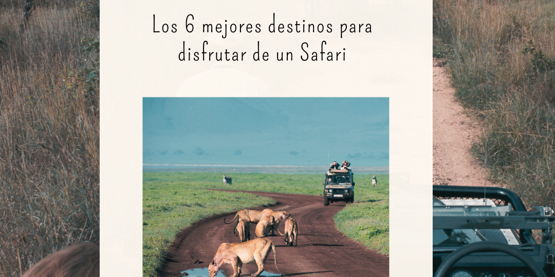 Los 6 mejores destinos para hacer un safari Los 6 mejores destinos para hacer un safari