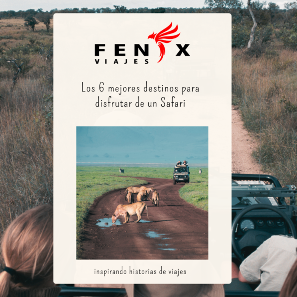 Los 6 mejores destinos para hacer un safari