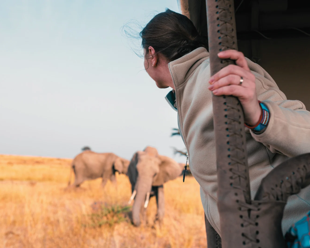 Los 6 mejores safaris por África