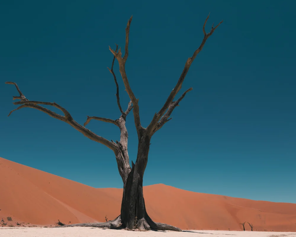 Viaje por el desierto de Namibia